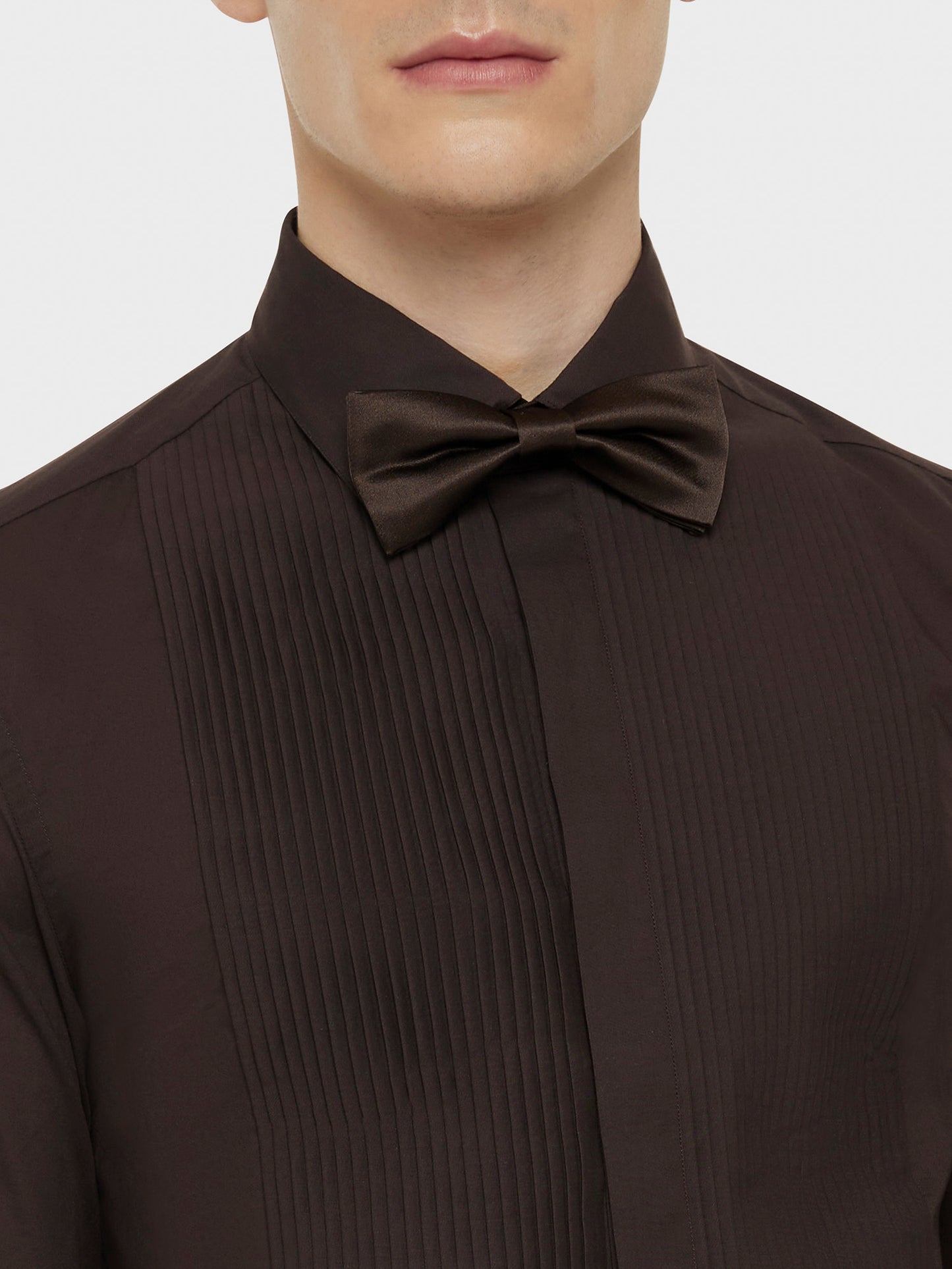 TigerTie, farfallino + fazzoletto, 100% pura seta TigerTie, farfallino + fazzoletto, 100% pura seta